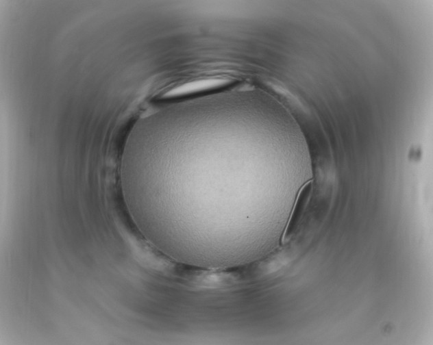 X0000091500379200709061927