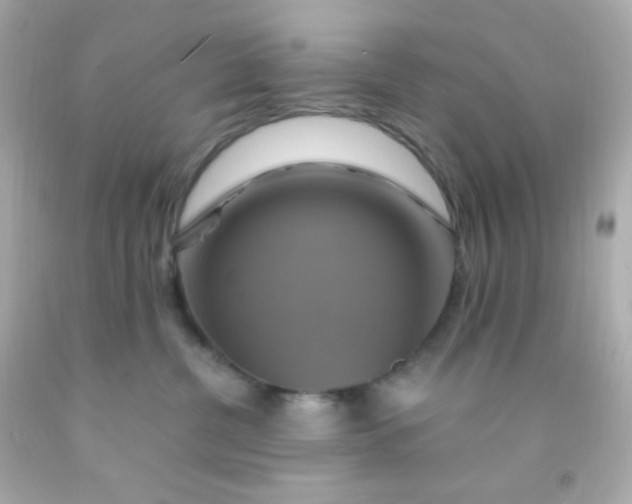 X0000091500380200709061927