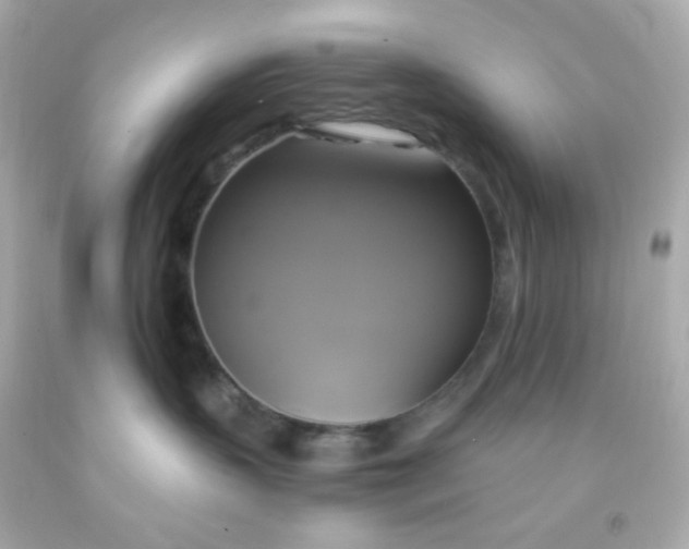 X0000091500383200709061927