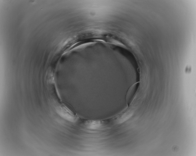 X0000091500384200709061927