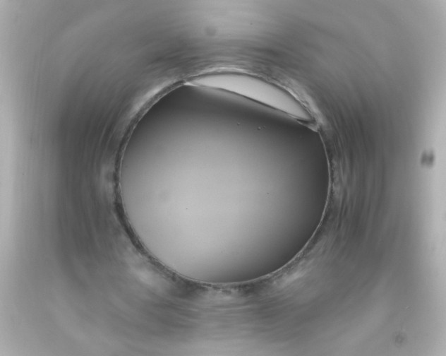 X0000091500386200709061926