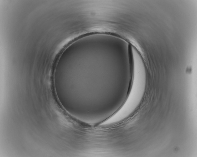 X0000091500387200709061926