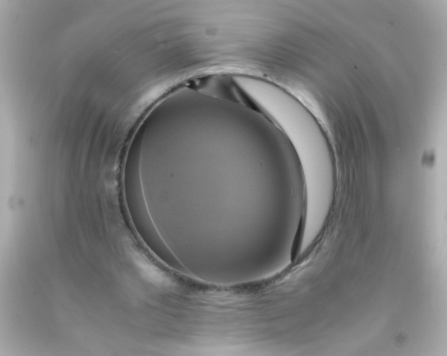 X0000091500389200709061926