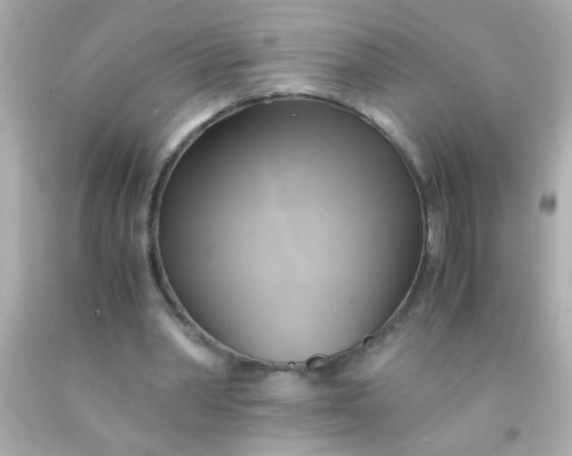 X0000091500390200709061926