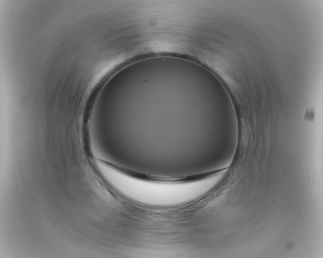 X0000091500391200709061926