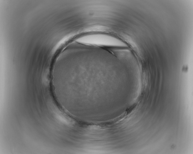 X0000091500392200709061926