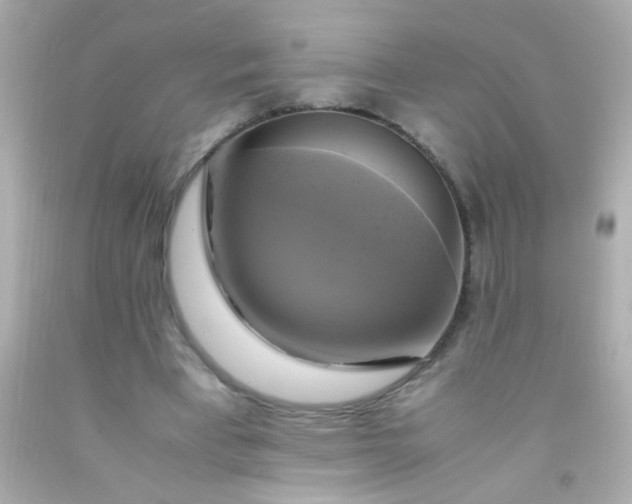 X0000091500393200709061926