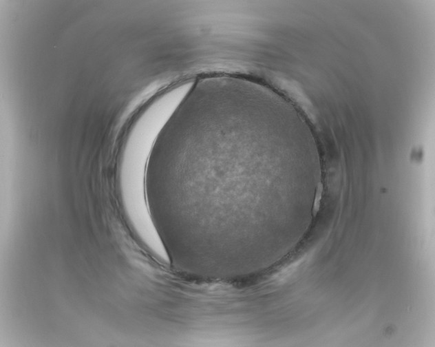 X0000091500395200709061926