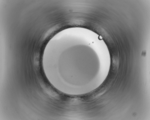 X0000091500396200709061926