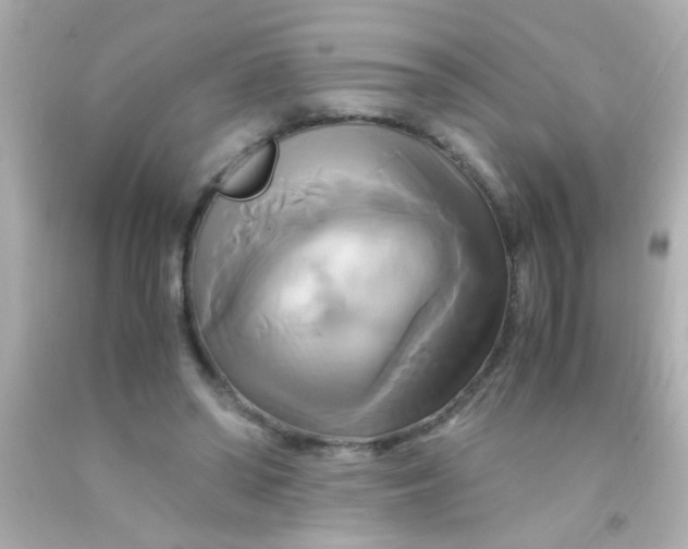 X0000091500398200709061926