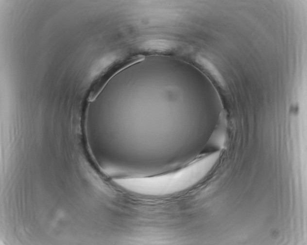 X0000091500399200709061926