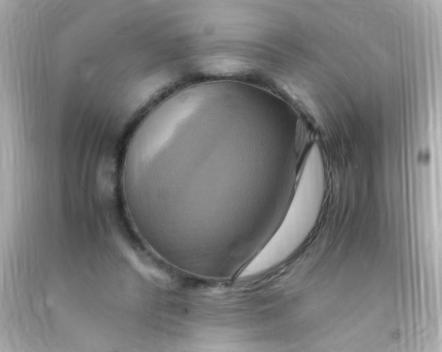 X0000091500400200709061926