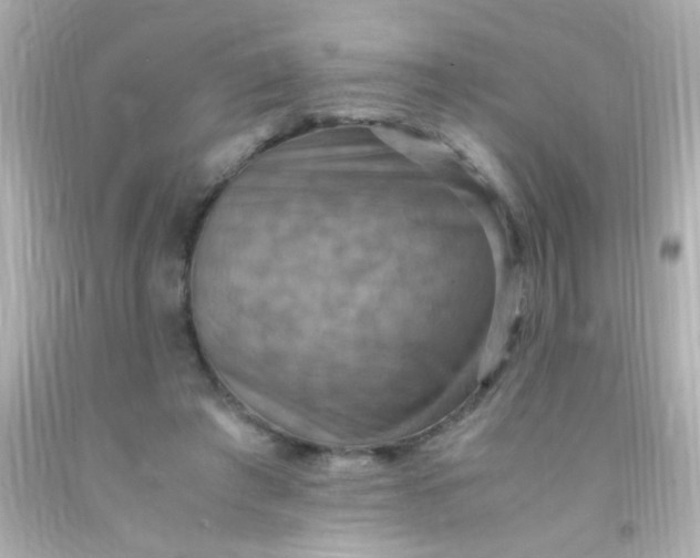 X0000091500401200709061926