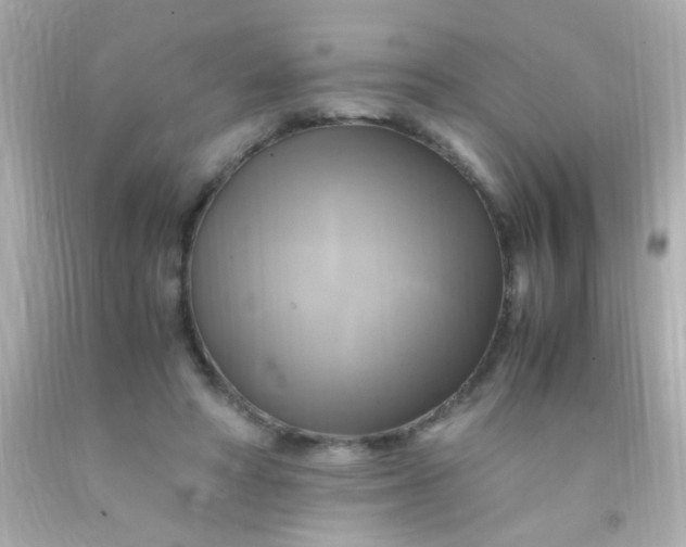 X0000091500402200709061926