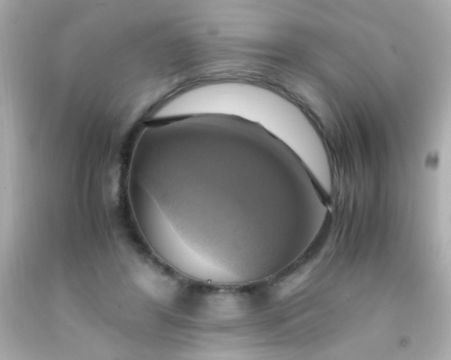 X0000091500404200709061926