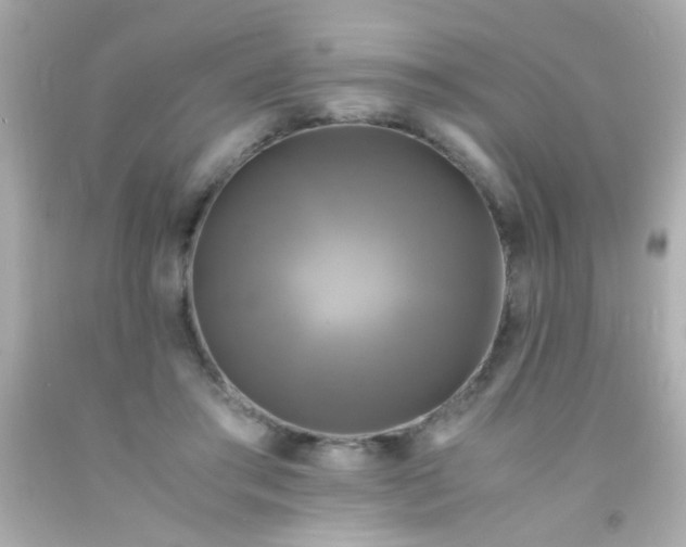 X0000091500405200709061926