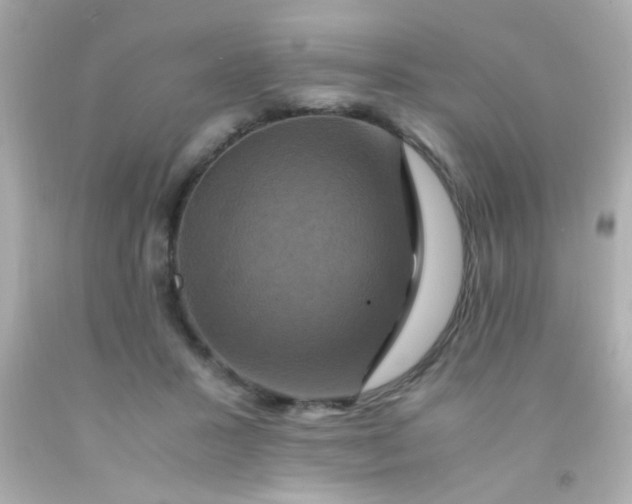 X0000091500407200709061926