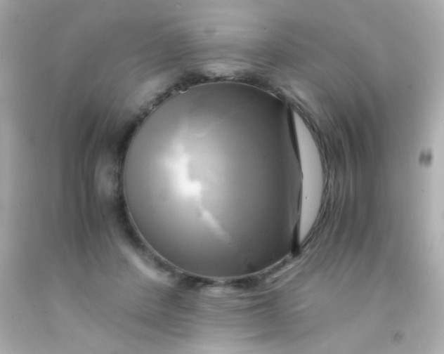 X0000091500408200709061926