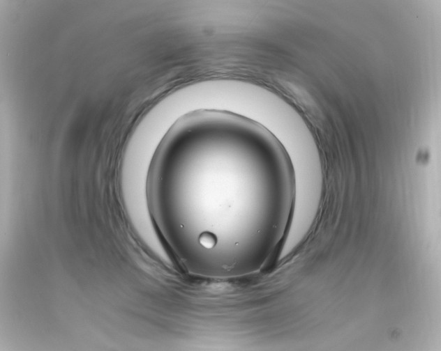 X0000091500409200709061926