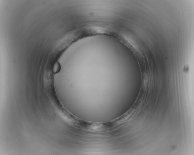 X0000091500410200709061926