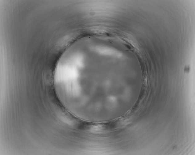 X0000091500411200709061926