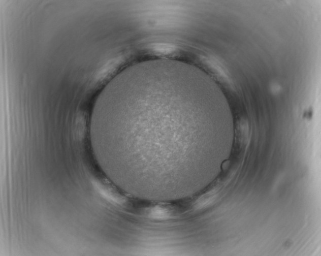 X0000091500412200709061926