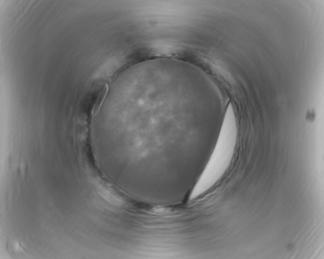 X0000091500413200709061926