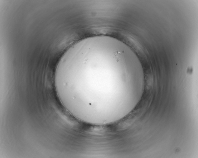 X0000091500414200709061926