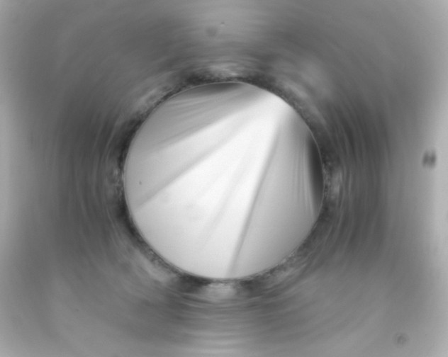 X0000091500418200709061926