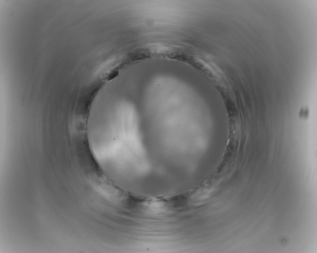 X0000091500419200709061926