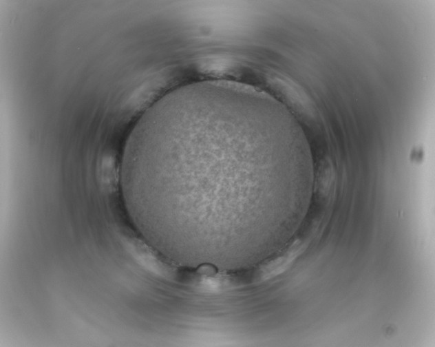 X0000091500420200709061926