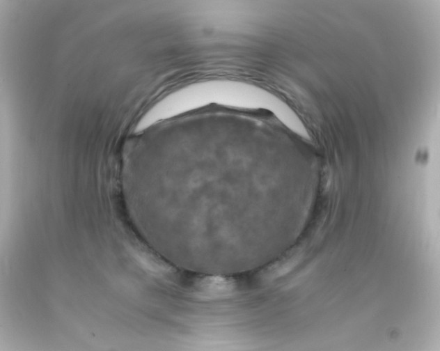 X0000091500421200709061926