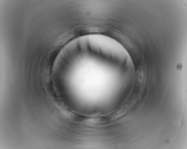 X0000091500422200709061926