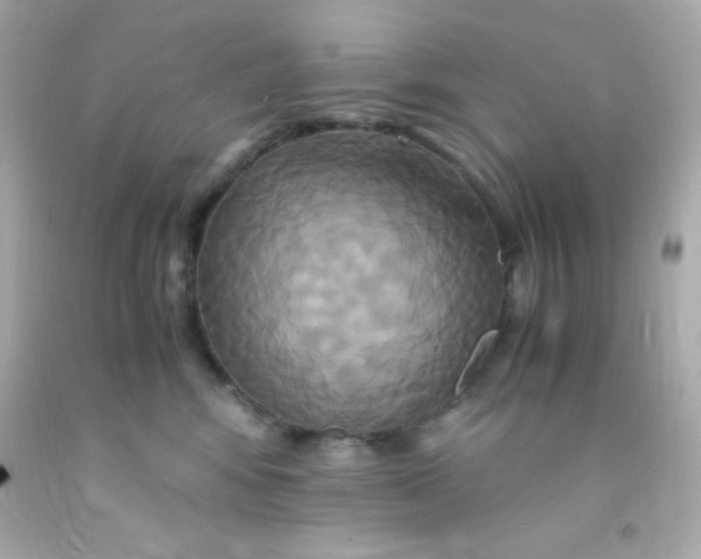 X0000091500424200709061926