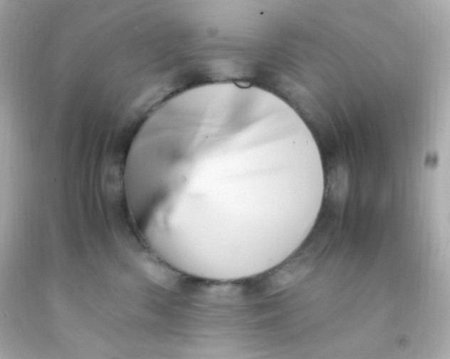 X0000091500426200709061926