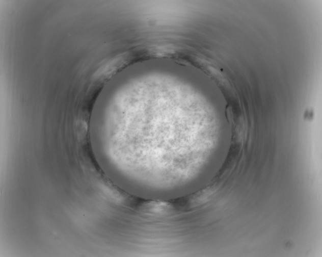 X0000091500427200709061926