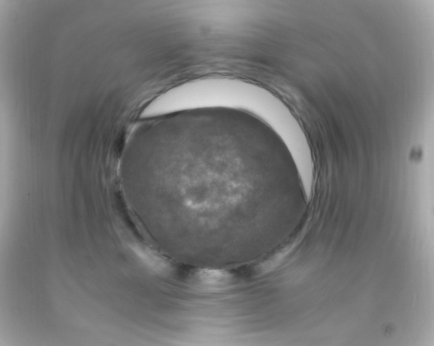 X0000091500429200709061926