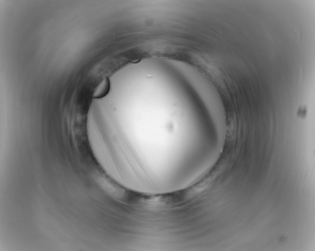 X0000091500430200709061926