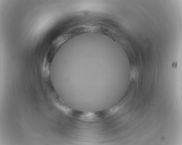 X0000091500431200709061926