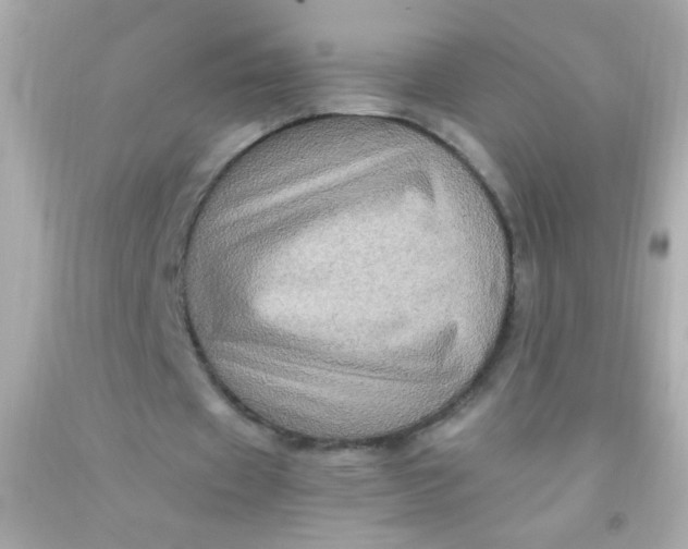 X0000091500433200709061925