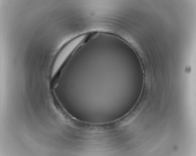 X0000091500434200709061925