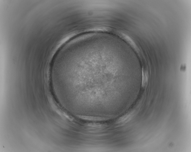 X0000091500435200709061925