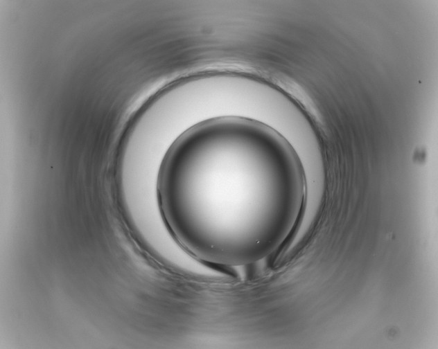 X0000091500436200709061925