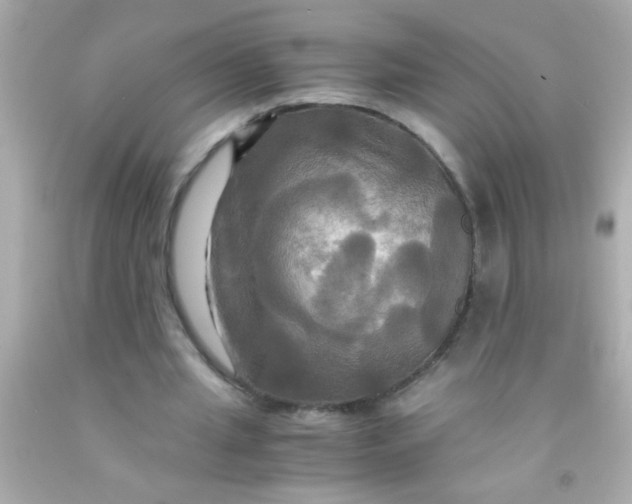 X0000091500437200709061925