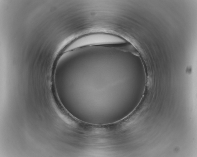 X0000091500438200709061925