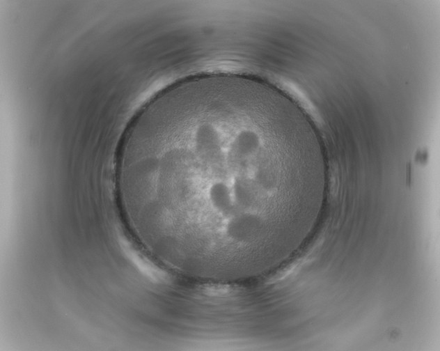 X0000091500439200709061925