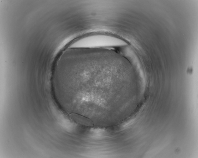 X0000091500440200709061925