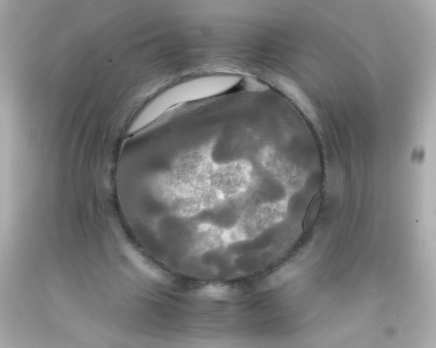 X0000091500441200709061925