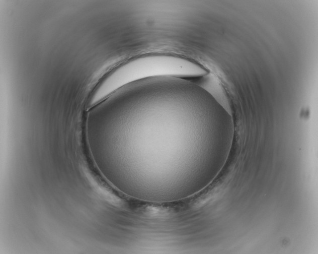 X0000091500442200709061925