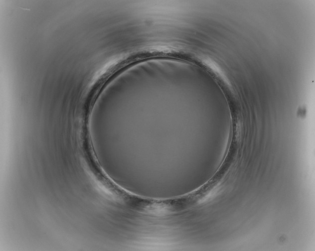 X0000091500444200709061925